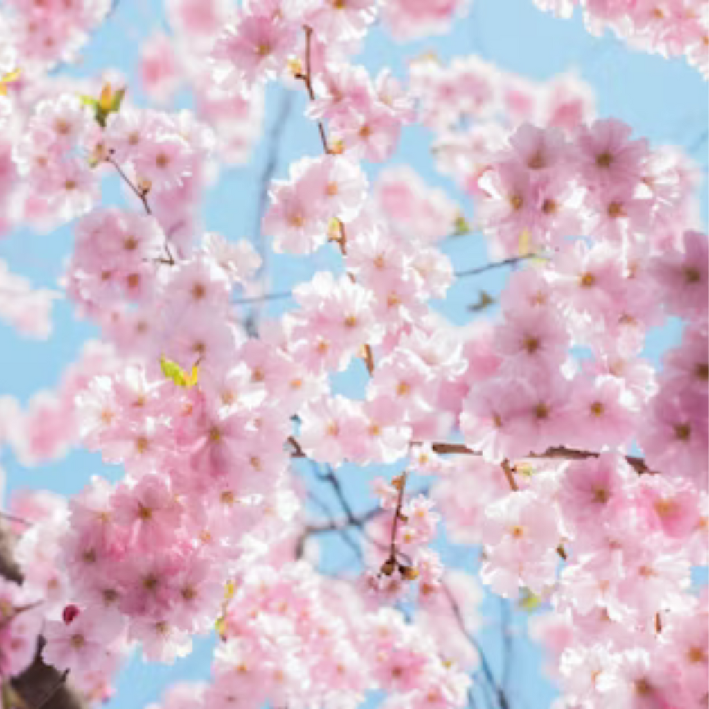 Bijoux plaqués or pour un look printanier - KUBE STORE